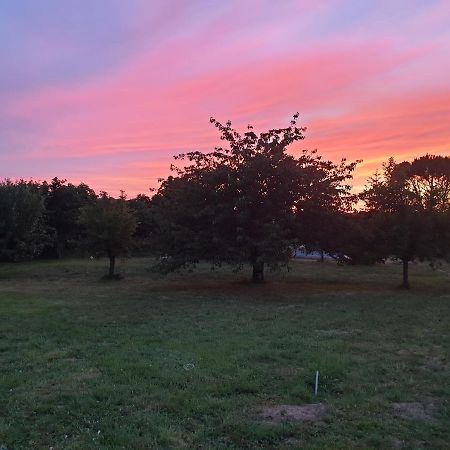 Les Etoiles De Morphee Villa Auriac-sur-Vendinelle Eksteriør billede